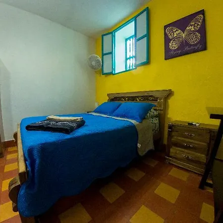Casa Bohemia 3*